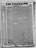 &nbsp;&nbsp;&nbsp;The first idea of a Book, was doubtless suggested to the Smiths by one Walters, a juggling fortune-teller, who made the ignorant believe that an old book in his possession, in the Latin language, contained an account of the anti-deluvians, &c. and the word was given out that the book Smith was about to find, was a history of hidden treasures.
