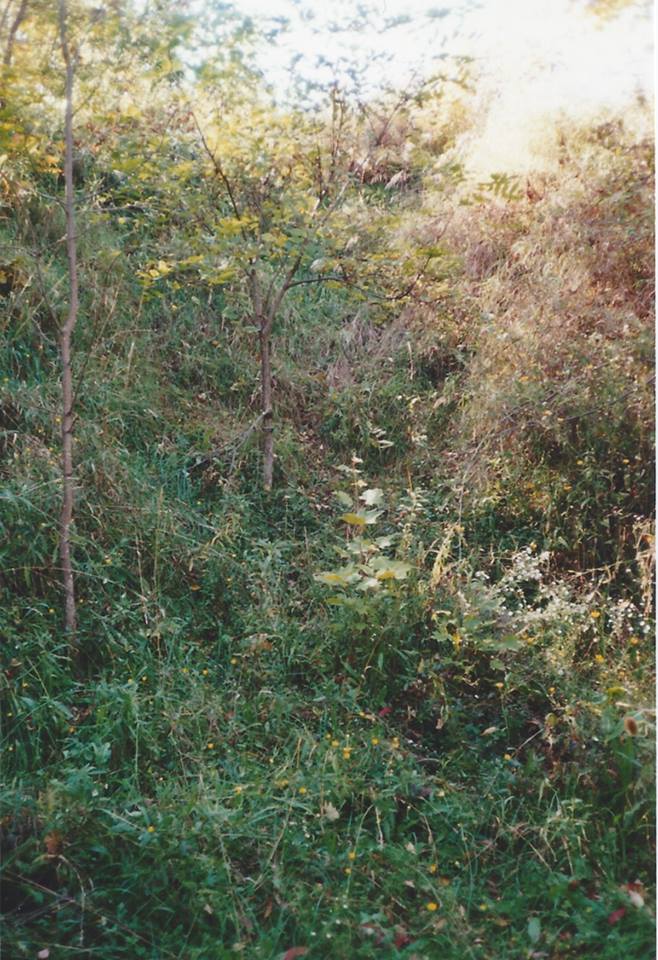 &nbsp;&nbsp;&nbsp;Today the entrance of the cave is closed and overgrown with foliage.
